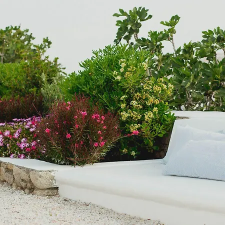 아이테르 부티크 3* Glastros (Mykonos)