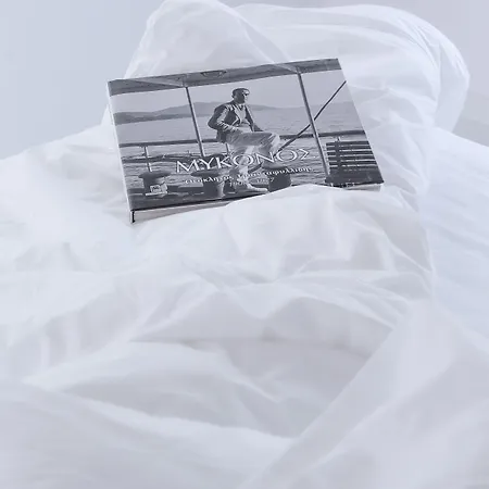 아이테르 부티크 Glastros (Mykonos)