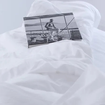 아이테르 부티크 Glastros (Mykonos)