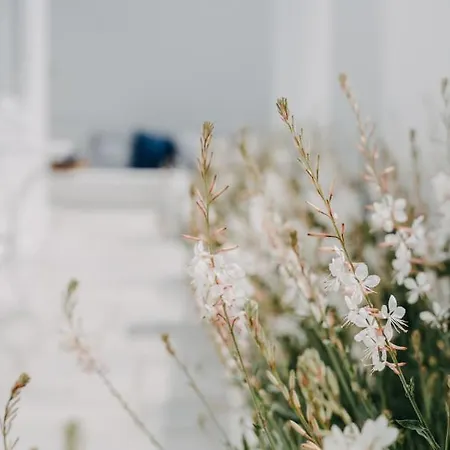 호텔 아이테르 부티크 Glastros (Mykonos)